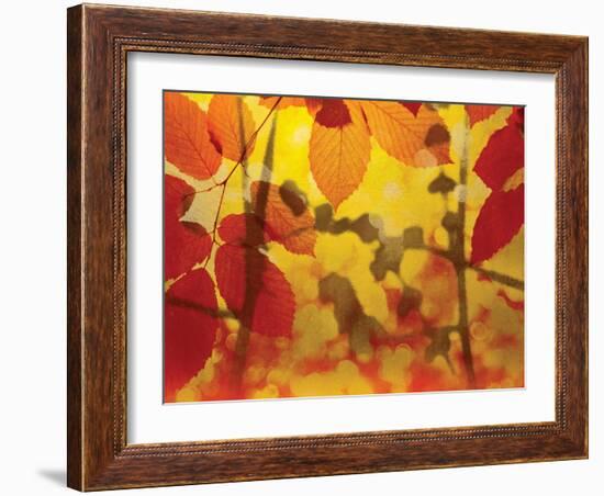 Golden Foliage-James McMasters-Framed Art Print