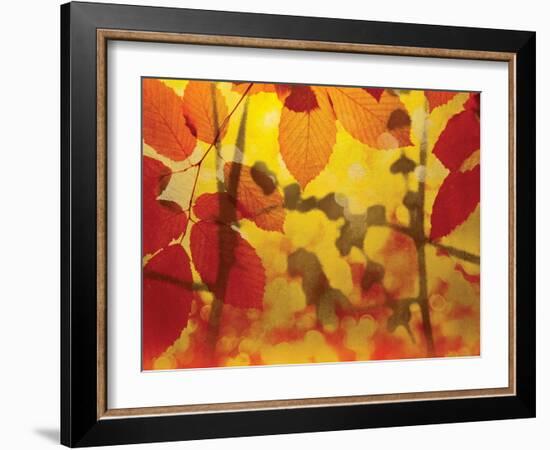 Golden Foliage-James McMasters-Framed Art Print