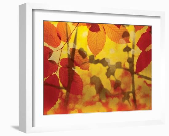 Golden Foliage-James McMasters-Framed Art Print