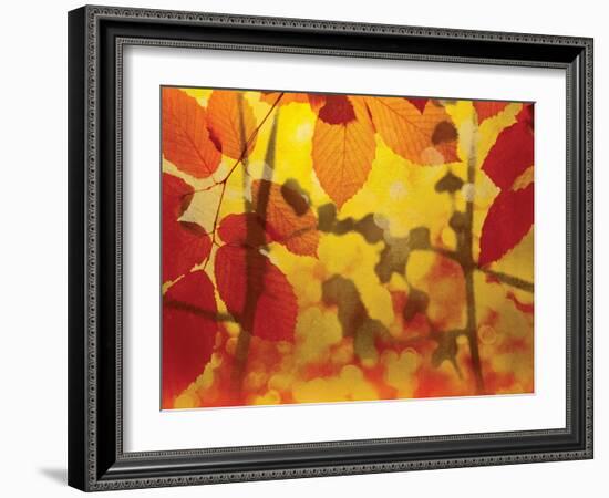 Golden Foliage-James McMasters-Framed Art Print