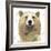 Golden Forest - Bear-Color Bakery-Framed Giclee Print