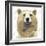 Golden Forest - Bear-Color Bakery-Framed Giclee Print