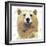 Golden Forest - Bear-null-Framed Giclee Print