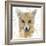 Golden Forest - Fox-null-Framed Giclee Print