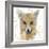 Golden Forest - Fox-null-Framed Giclee Print