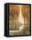 Golden Forest I-Tim OToole-Framed Stretched Canvas