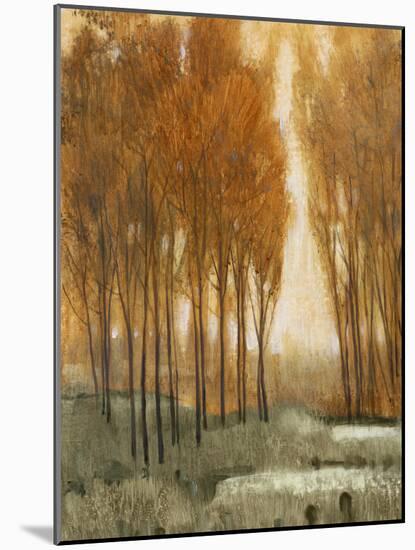 Golden Forest II-Tim OToole-Mounted Art Print