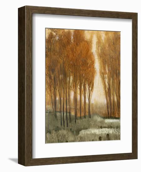 Golden Forest II-Tim OToole-Framed Premium Giclee Print