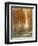Golden Forest II-Tim OToole-Framed Premium Giclee Print