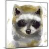 Golden Forest - Raccoon-Color Bakery-Mounted Giclee Print