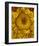 Golden Garden Sunflowers & Marigolds-null-Framed Art Print