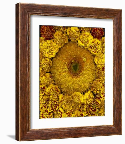 Golden Garden Sunflowers & Marigolds-null-Framed Art Print