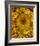 Golden Garden Sunflowers & Marigolds-null-Framed Art Print