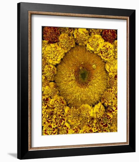 Golden Garden Sunflowers & Marigolds-null-Framed Art Print