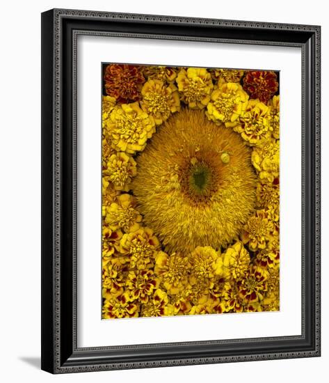 Golden Garden Sunflowers & Marigolds-null-Framed Art Print