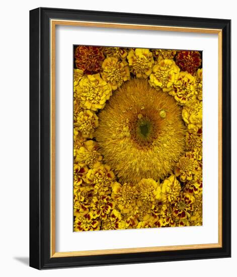 Golden Garden Sunflowers & Marigolds-null-Framed Art Print