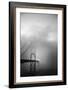Golden Gate and Birds-Moises Levy-Framed Photographic Print