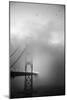 Golden Gate and Birds-Moises Levy-Mounted Photographic Print