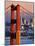 Golden Gate Bridge and San Francisco Skyline-Paul Souders-Mounted Photographic Print