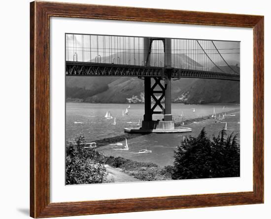 Golden Gate Bridge on Opening Day of the Yacht Season-null-Framed Photographic Print