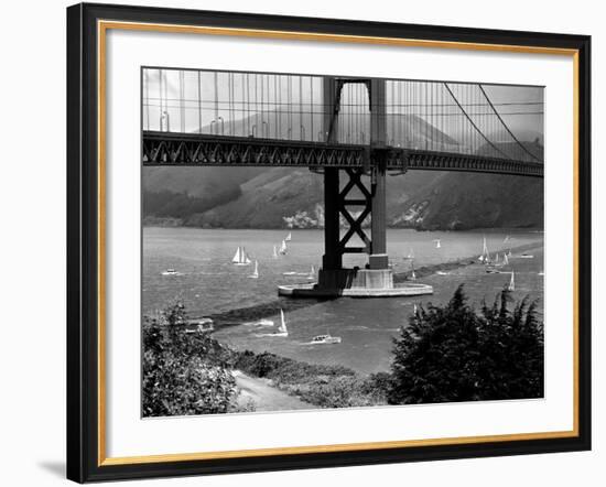 Golden Gate Bridge on Opening Day of the Yacht Season-null-Framed Photographic Print