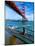 Golden Gate Bridge, San Francisco, California, USA-John Alves-Mounted Photographic Print