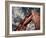 Golden Gate Bridge-Andrea Costantini-Framed Photographic Print