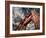 Golden Gate Bridge-Andrea Costantini-Framed Photographic Print