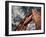 Golden Gate Bridge-Andrea Costantini-Framed Photographic Print