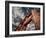 Golden Gate Bridge-Andrea Costantini-Framed Photographic Print