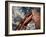 Golden Gate Bridge-Andrea Costantini-Framed Photographic Print