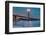 Golden Gate Bridge-Lee Sie-Framed Photographic Print