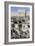 Golden Gate, Jerusalem, Israel-Vivienne Sharp-Framed Photographic Print