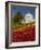 Golden Gate Park Conservatory-Richard Nowitz-Framed Photographic Print