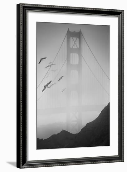 Golden Gate Pier and Birds II-Moises Levy-Framed Photographic Print