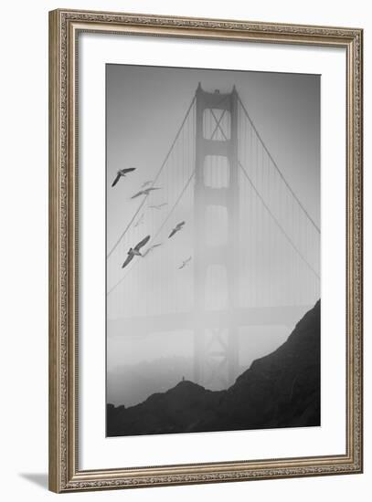 Golden Gate Pier and Birds II-Moises Levy-Framed Photographic Print