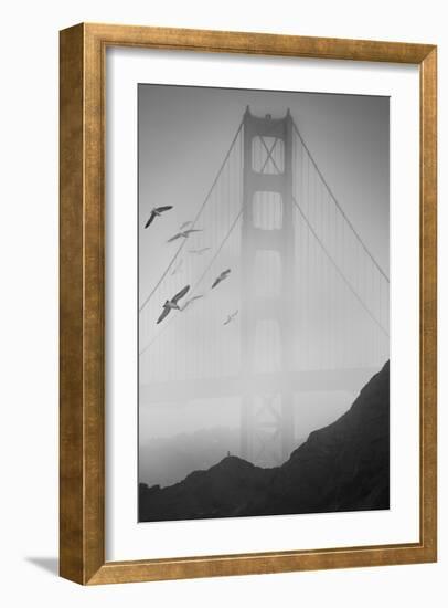 Golden Gate Pier and Birds II-Moises Levy-Framed Photographic Print