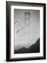 Golden Gate Pier and Birds II-Moises Levy-Framed Photographic Print