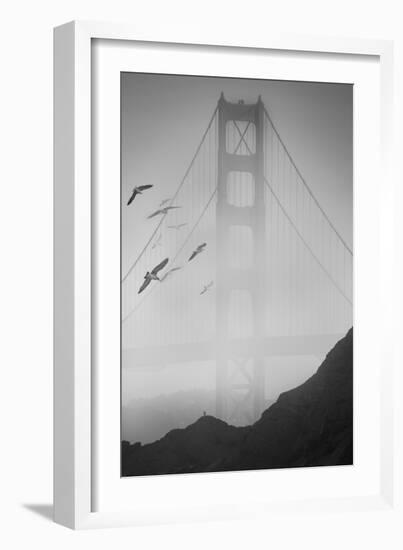 Golden Gate Pier and Birds II-Moises Levy-Framed Photographic Print