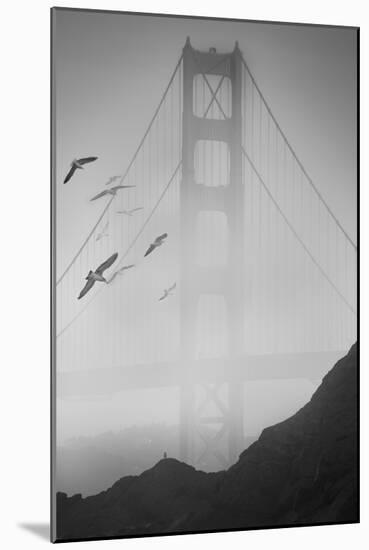 Golden Gate Pier and Birds II-Moises Levy-Mounted Photographic Print