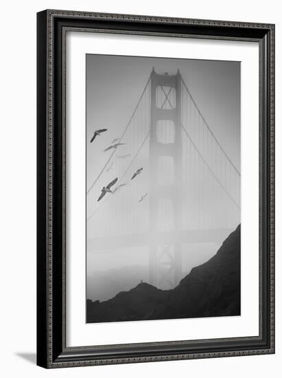 Golden Gate Pier and Birds II-Moises Levy-Framed Photographic Print