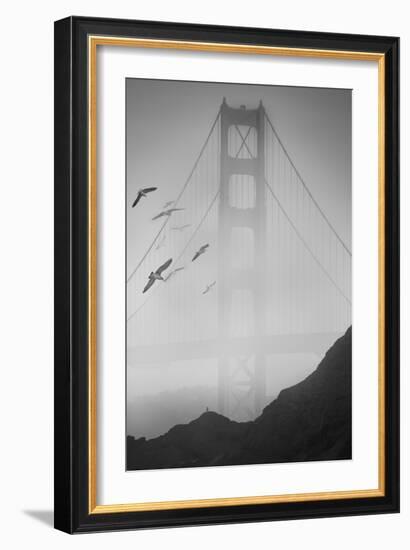 Golden Gate Pier and Birds II-Moises Levy-Framed Photographic Print