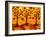 Golden Gazers-Natasha Wescoat-Framed Giclee Print