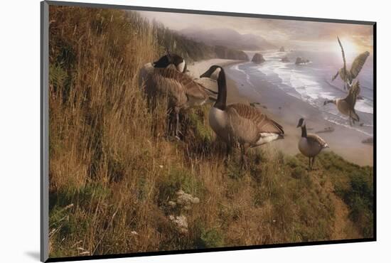 Golden Geese-Steve Hunziker-Mounted Art Print