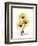 Golden Gerbera-Albert Koetsier-Framed Art Print