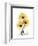 Golden Gerbera-Albert Koetsier-Framed Art Print