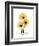 Golden Gerbera-Albert Koetsier-Framed Art Print