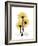 Golden Gerbera-Albert Koetsier-Framed Premium Giclee Print