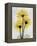 Golden Gerbera-Albert Koetsier-Framed Stretched Canvas