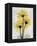 Golden Gerbera-Albert Koetsier-Framed Stretched Canvas